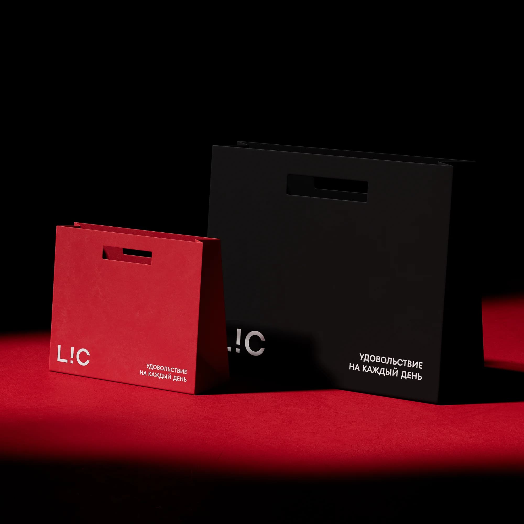 LIC — от исследования до бренда и интернет-магазина — экран 12
